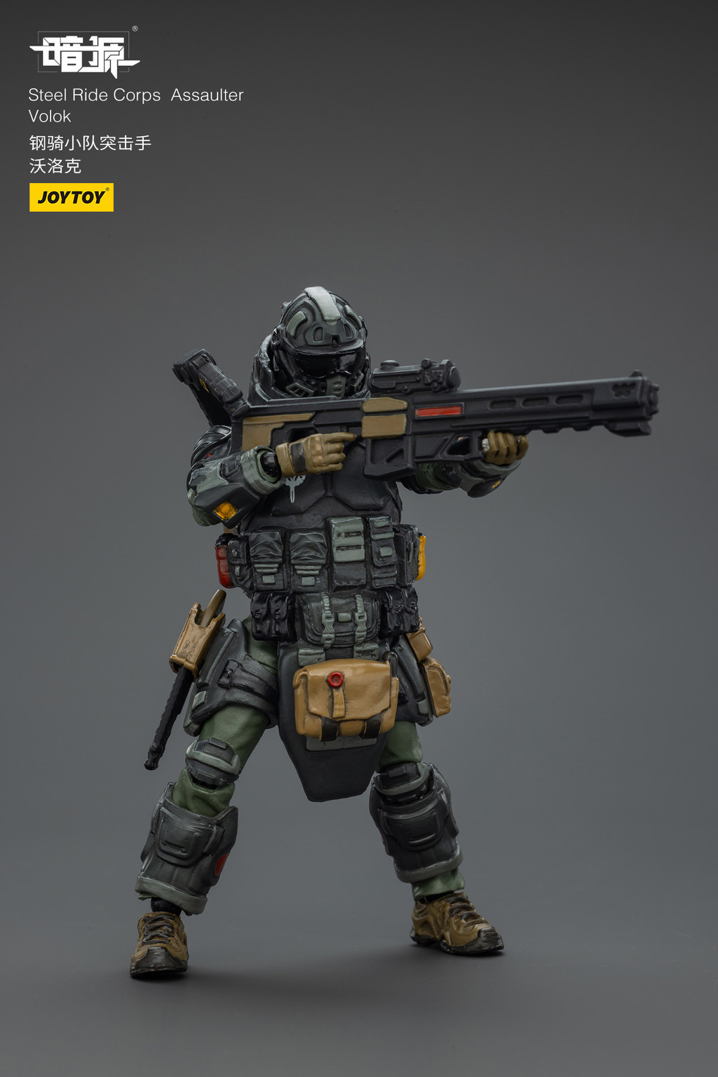 Steel Ride Corps Assaulter Volok - view 13