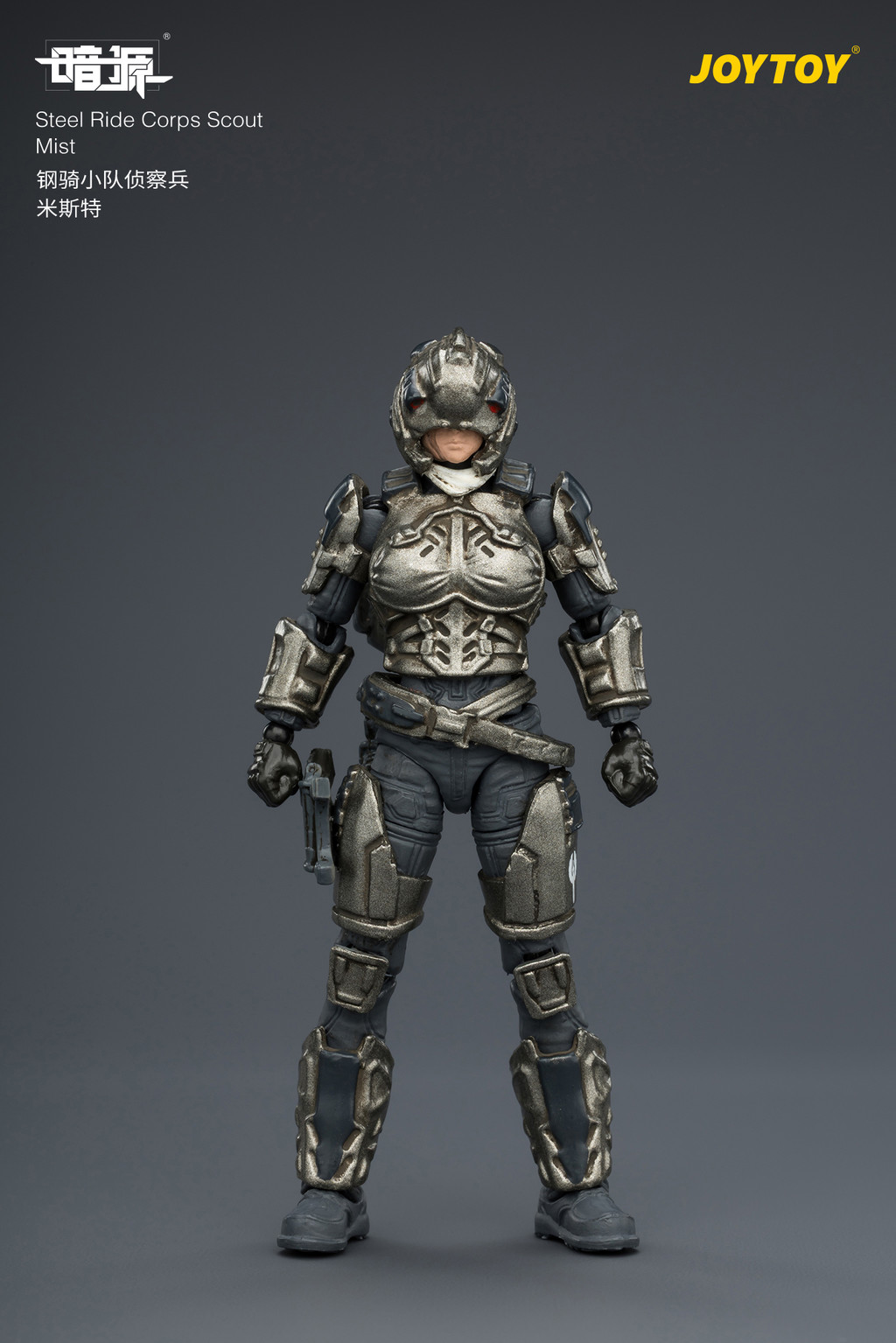 Steel Ride Corps Scout Mist - view 7
