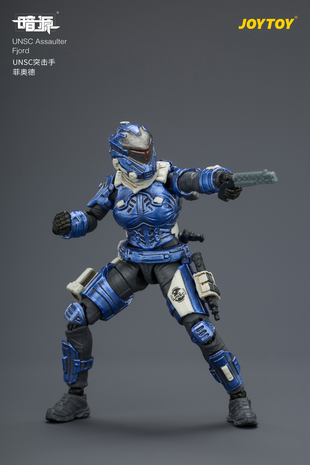 UNSC Assaulter Fjord - view 14