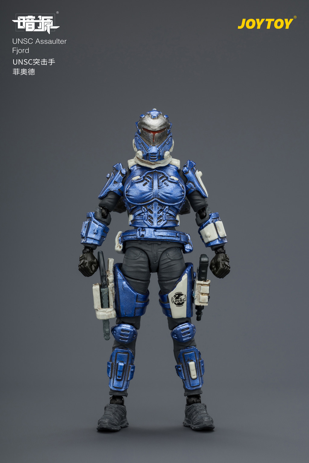 UNSC Assaulter Fjord - view 7