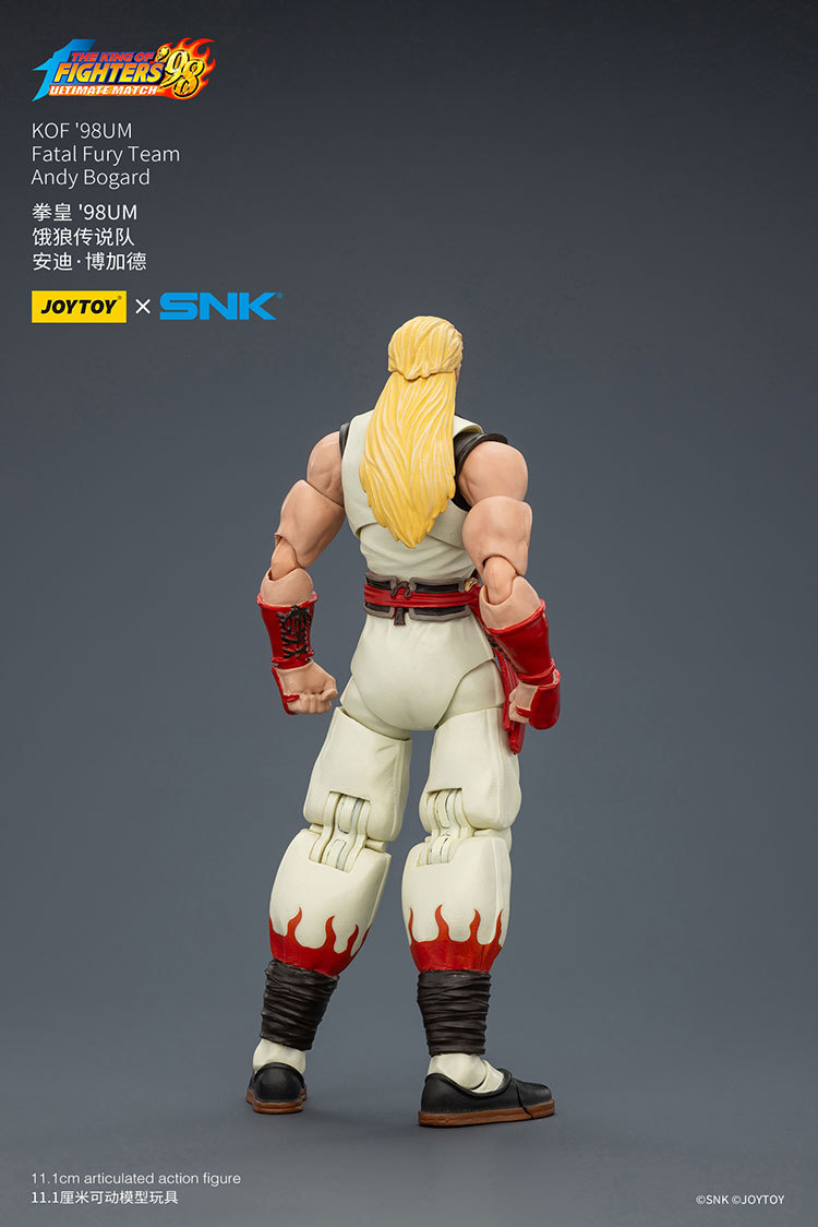 KOF '98UM Fatal Fury Team Terry Bogard - view 8