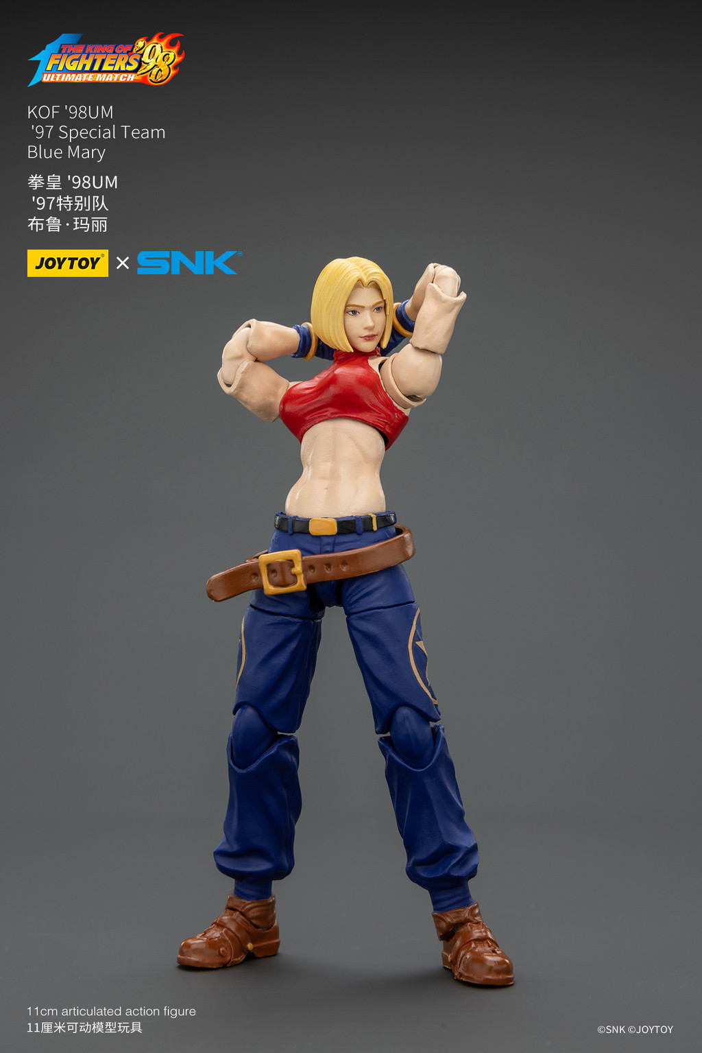 KOF'98UM '97 Special Team Blue Mary - view 13