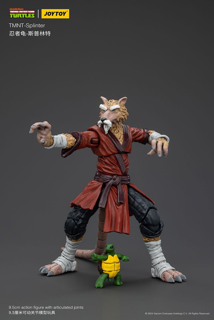 TMNT-Splinter - view 18