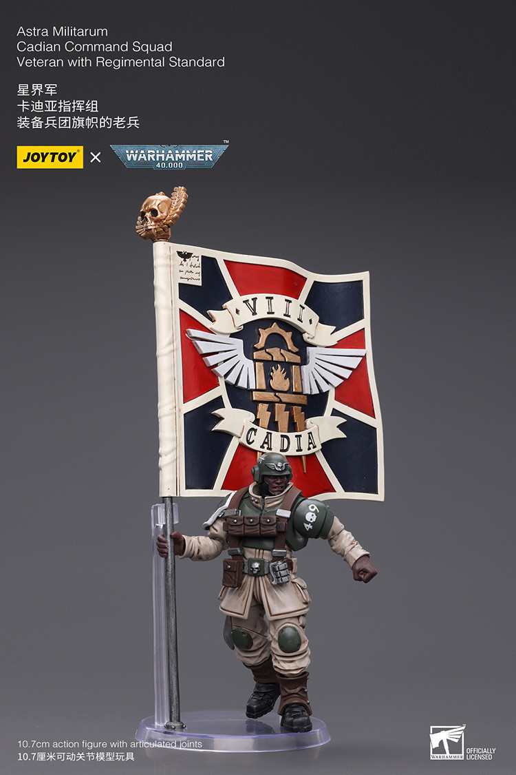 Astra Militarum Cadian Command Squad Veteran with Regimental Standard - view 11