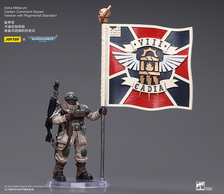 Astra Militarum Cadian Command Squad Veteran with Regimental Standard - view 10