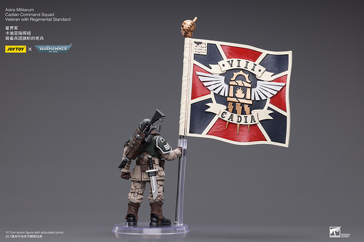 Astra Militarum Cadian Command Squad Veteran with Regimental Standard - view 16