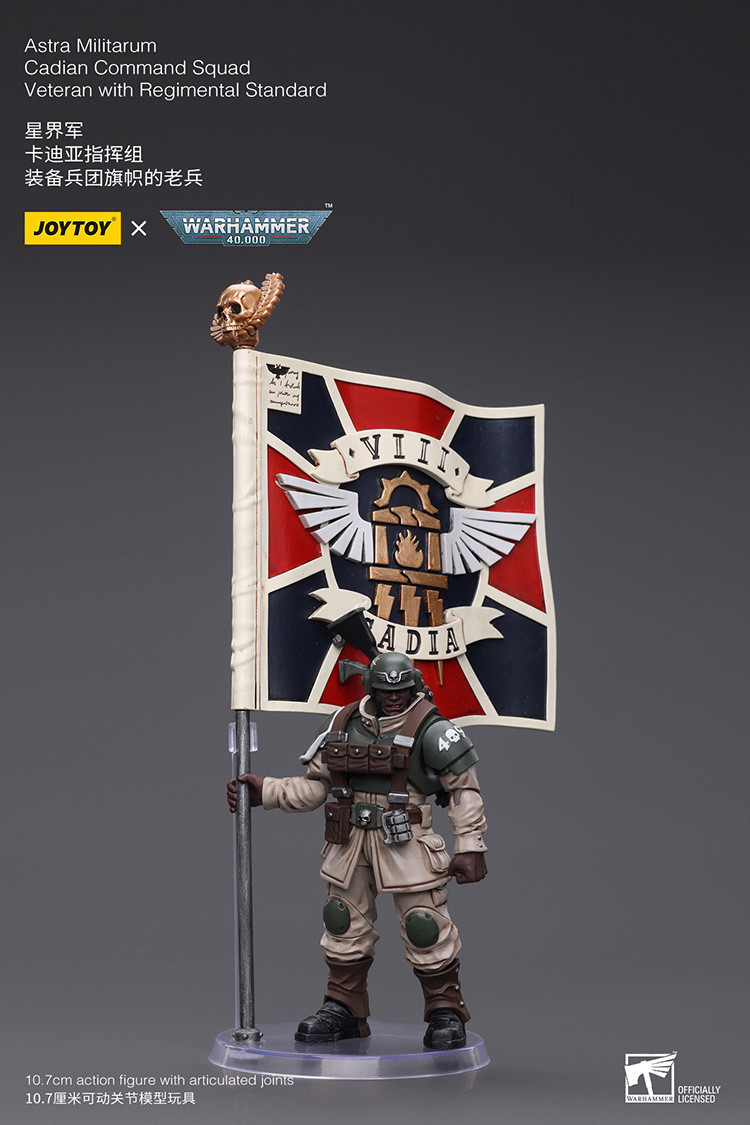 Astra Militarum Cadian Command Squad Veteran with Regimental Standard - view 12