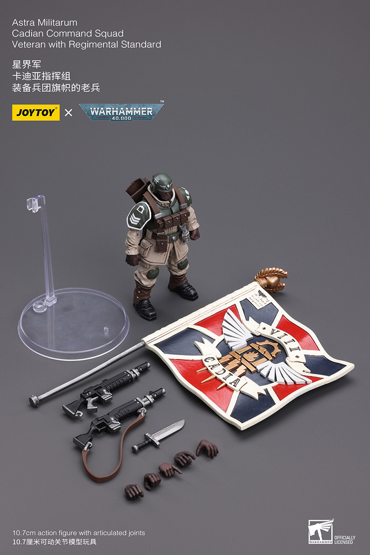 Astra Militarum Cadian Command Squad Veteran with Regimental Standard - view 17