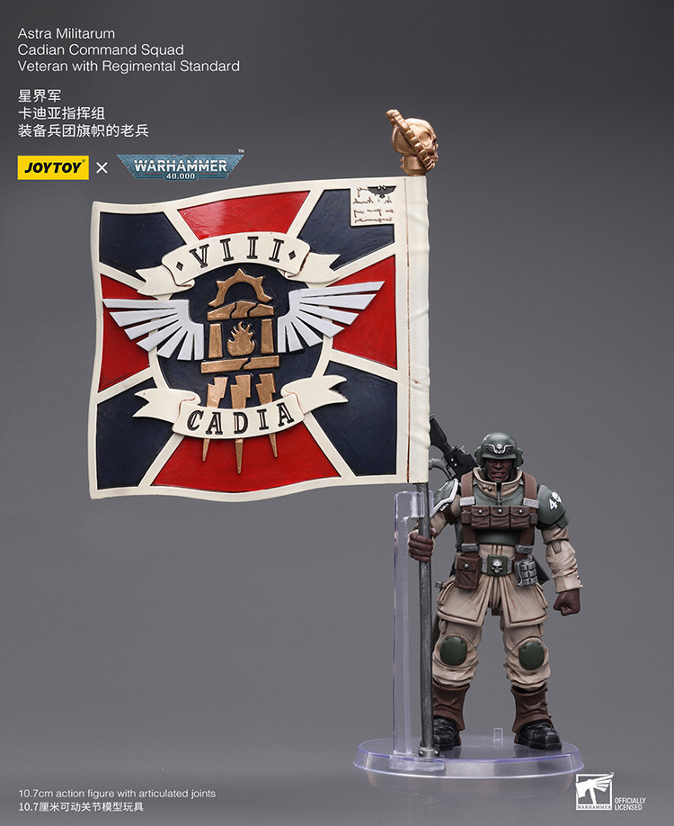 Astra Militarum Cadian Command Squad Veteran with Regimental Standard - view 14
