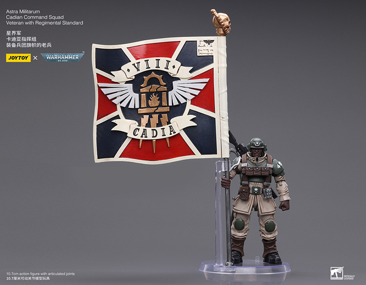 Astra Militarum Cadian Command Squad Veteran with Regimental Standard - view 20
