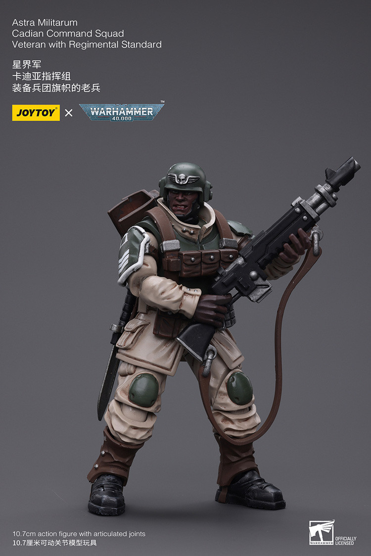 Astra Militarum Cadian Command Squad Veteran with Regimental Standard - view 18