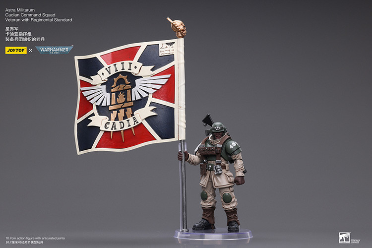 Astra Militarum Cadian Command Squad Veteran with Regimental Standard - view 15