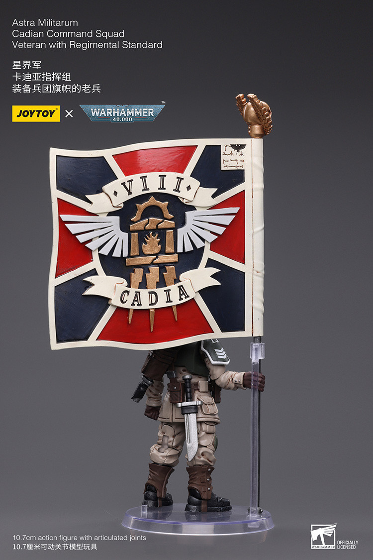 Astra Militarum Cadian Command Squad Veteran with Regimental Standard - view 13