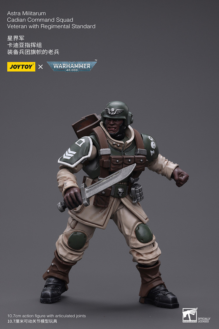 Astra Militarum Cadian Command Squad Veteran with Regimental Standard - view 19