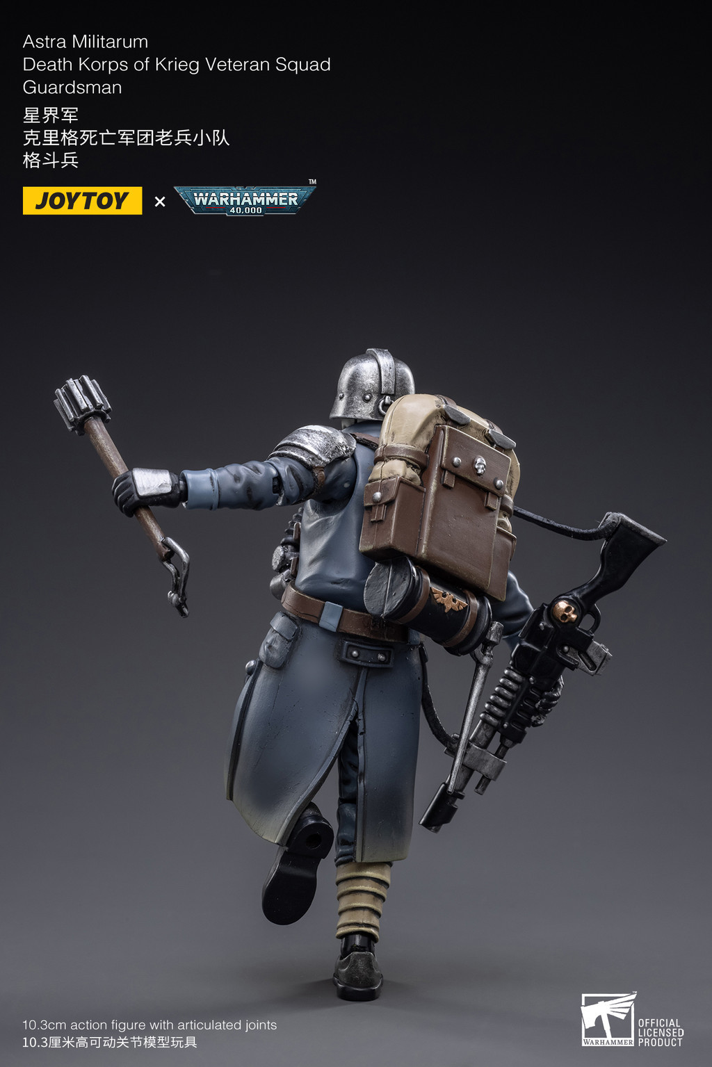 Astra Militarum Death Korps of Krieg Veteran Squad Guardsman - view 8
