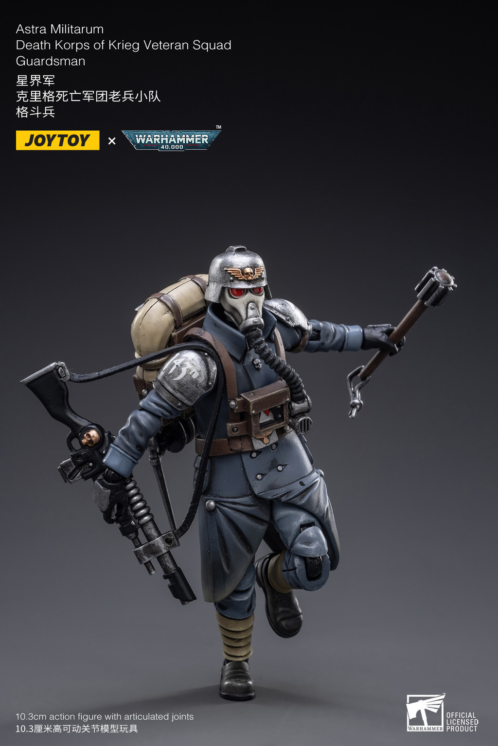 Astra Militarum Death Korps of Krieg Veteran Squad Guardsman - view 7