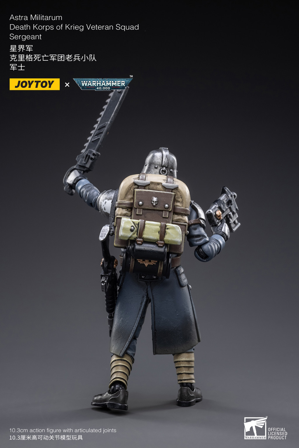 Astra Militarum Death Korps of Krieg Veteran Squad Sergeant - view 9
