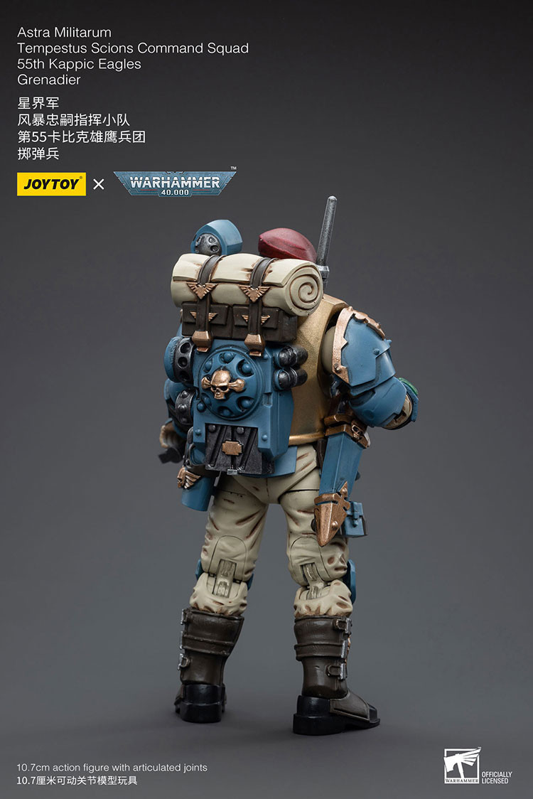Astra Militarum Tempestus Scions Command Squad 55th Kappic Eagles Grenadier - view 13