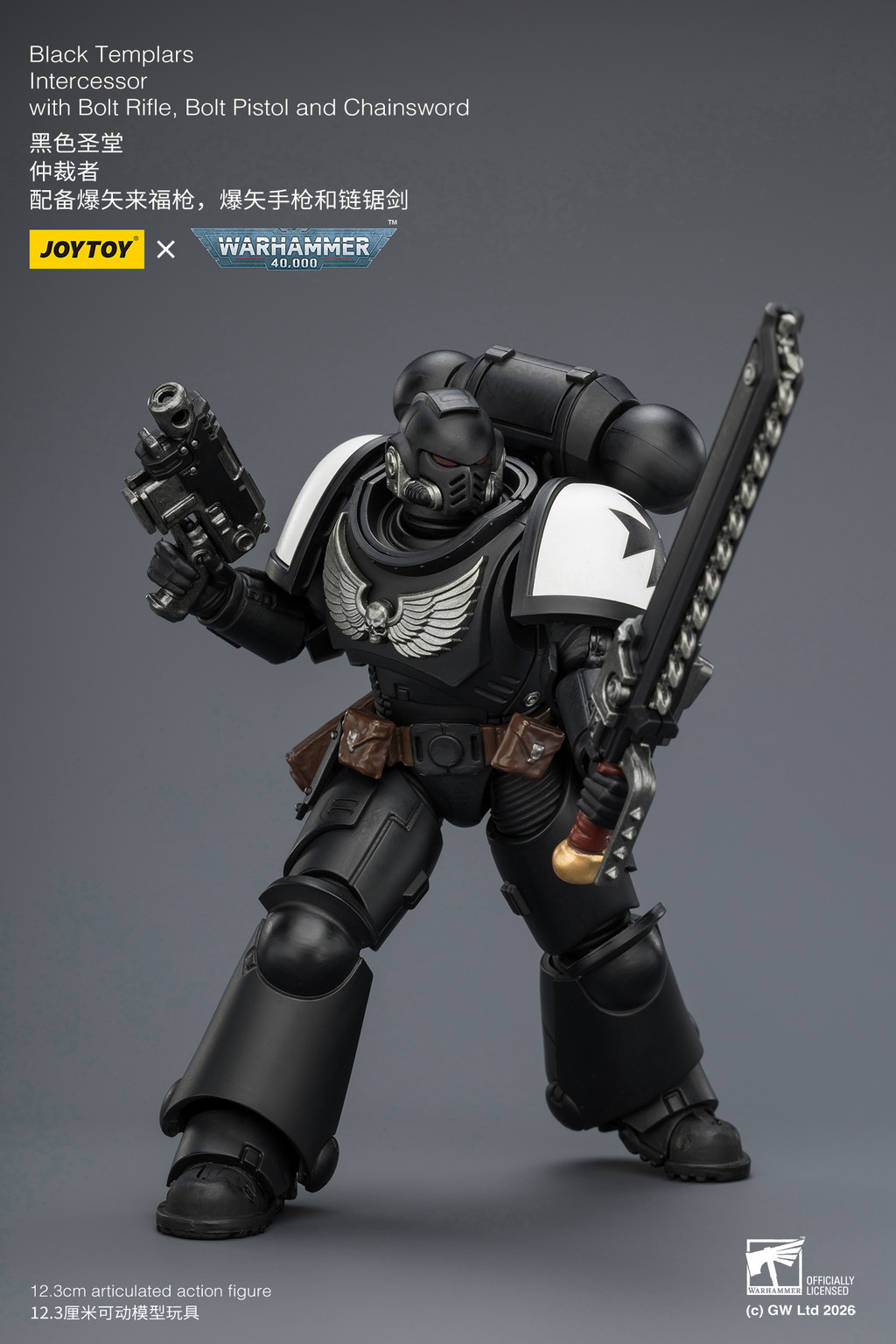 Black Templars Intercessor with Bolt Rifle, Bolt Pistol and Chainsword - view 18