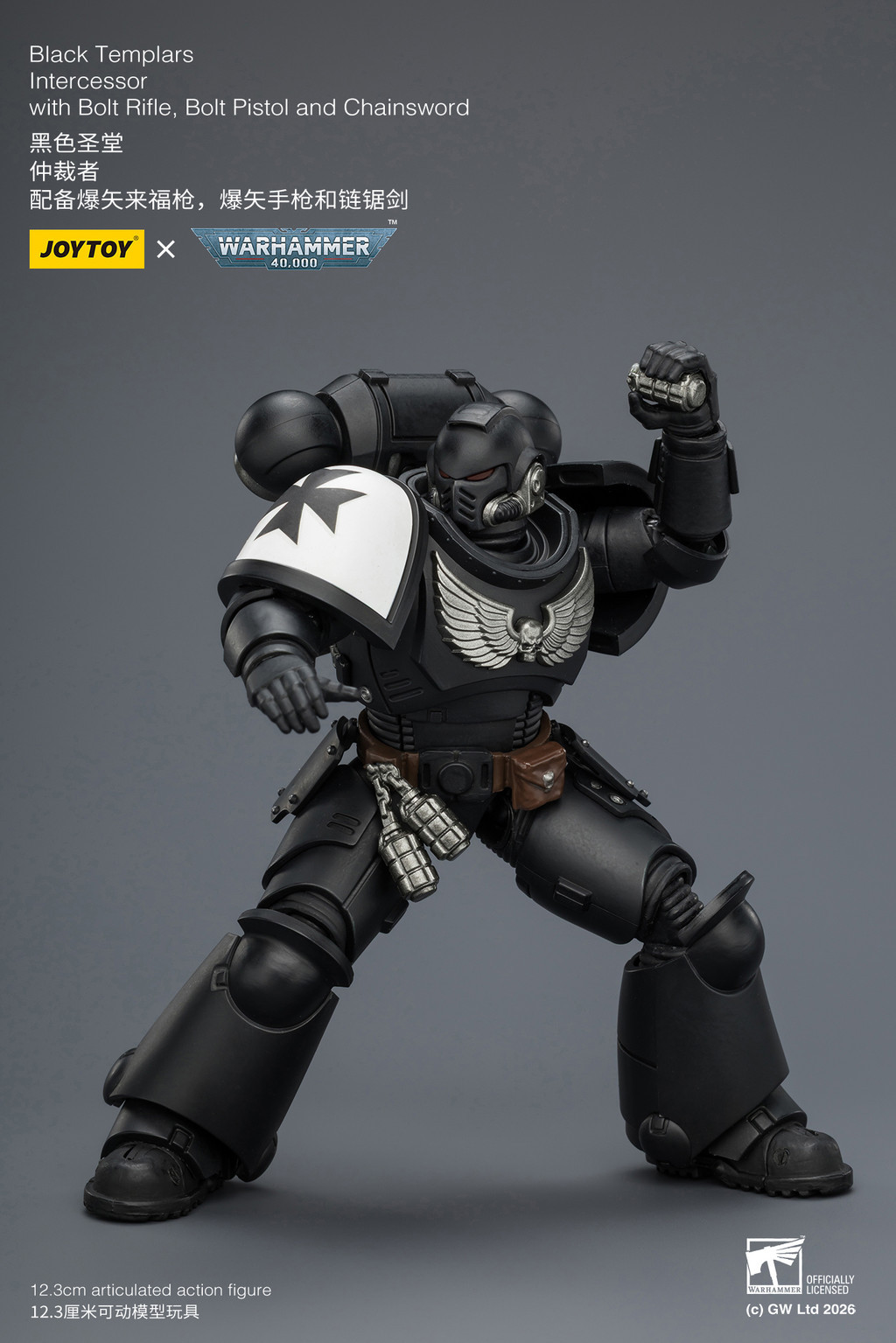 Black Templars Intercessor with Bolt Rifle, Bolt Pistol and Chainsword - view 17