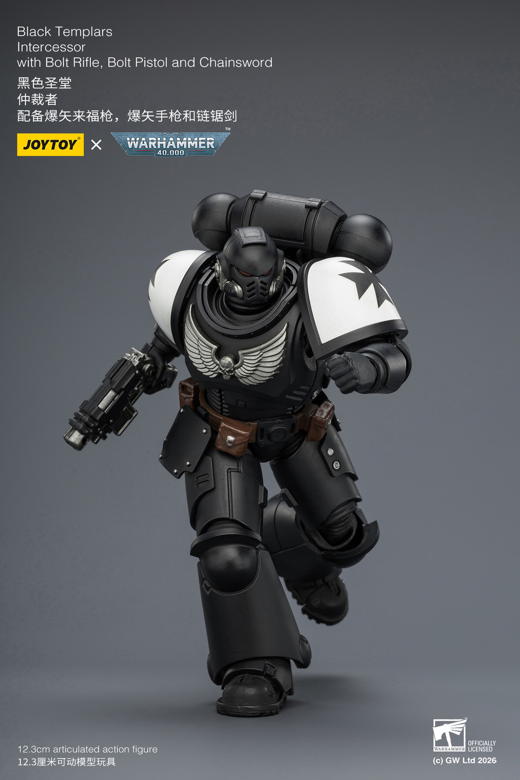 Black Templars Intercessor with Bolt Rifle, Bolt Pistol and Chainsword - view 16
