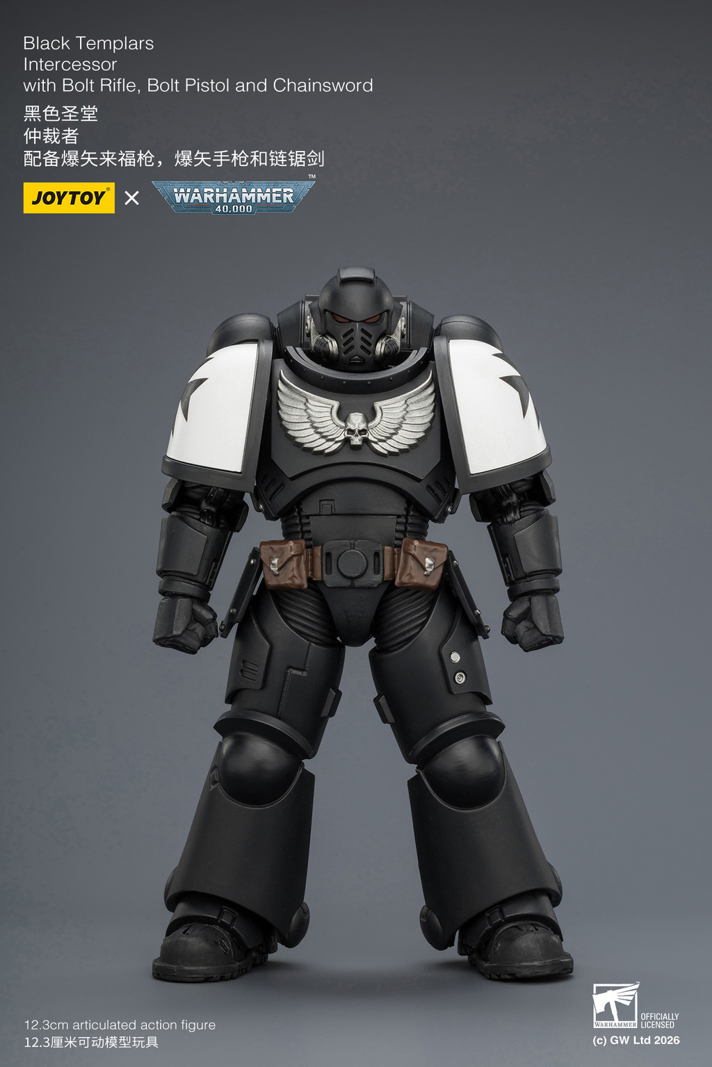 Black Templars Intercessor with Bolt Rifle, Bolt Pistol and Chainsword - view 9