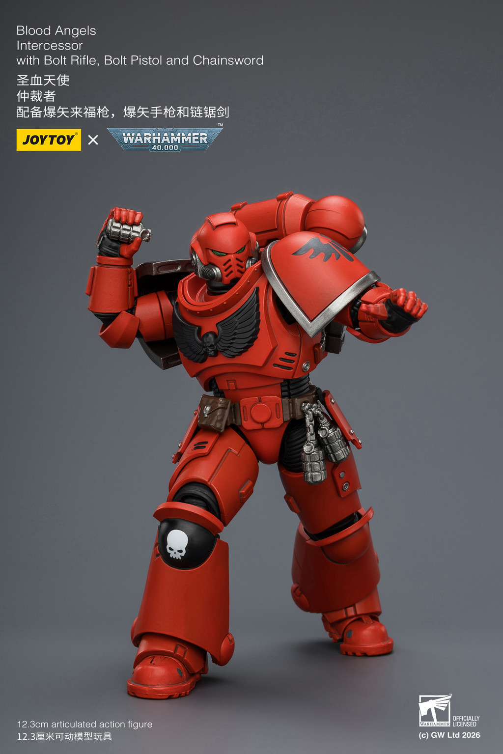 Blood Angels Intercessor with Bolt Rifle, Bolt Pistol and Chainsword - view 15