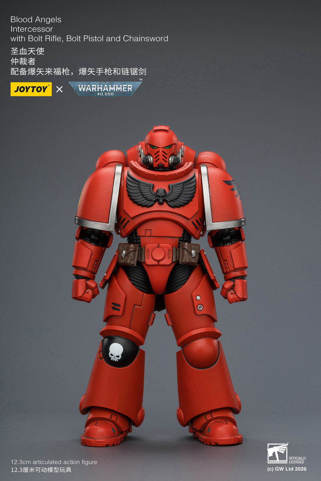 Blood Angels Intercessor with Bolt Rifle, Bolt Pistol and Chainsword - view 9