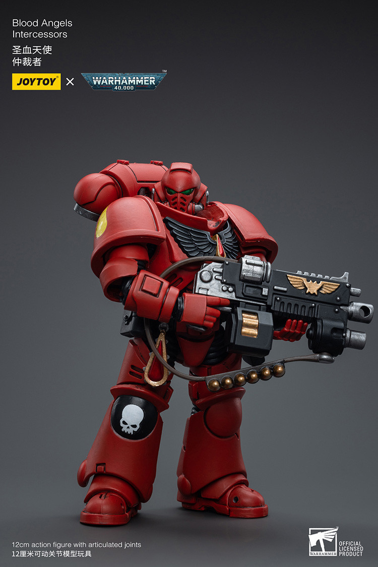 Blood Angels Intercessors - view 10