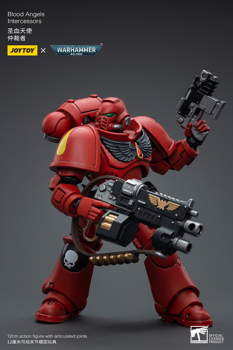 Blood Angels Intercessors - view 14