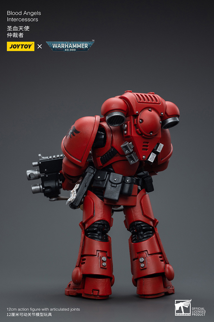 Blood Angels Intercessors - view 9
