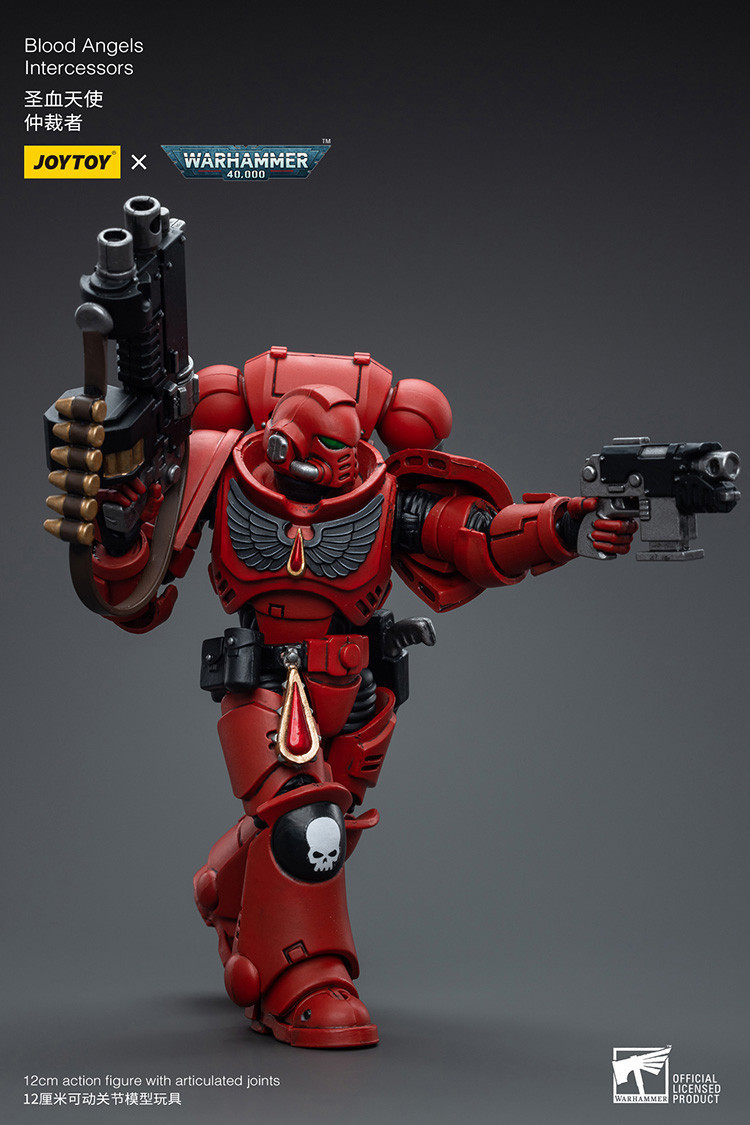 Blood Angels Intercessors - view 13