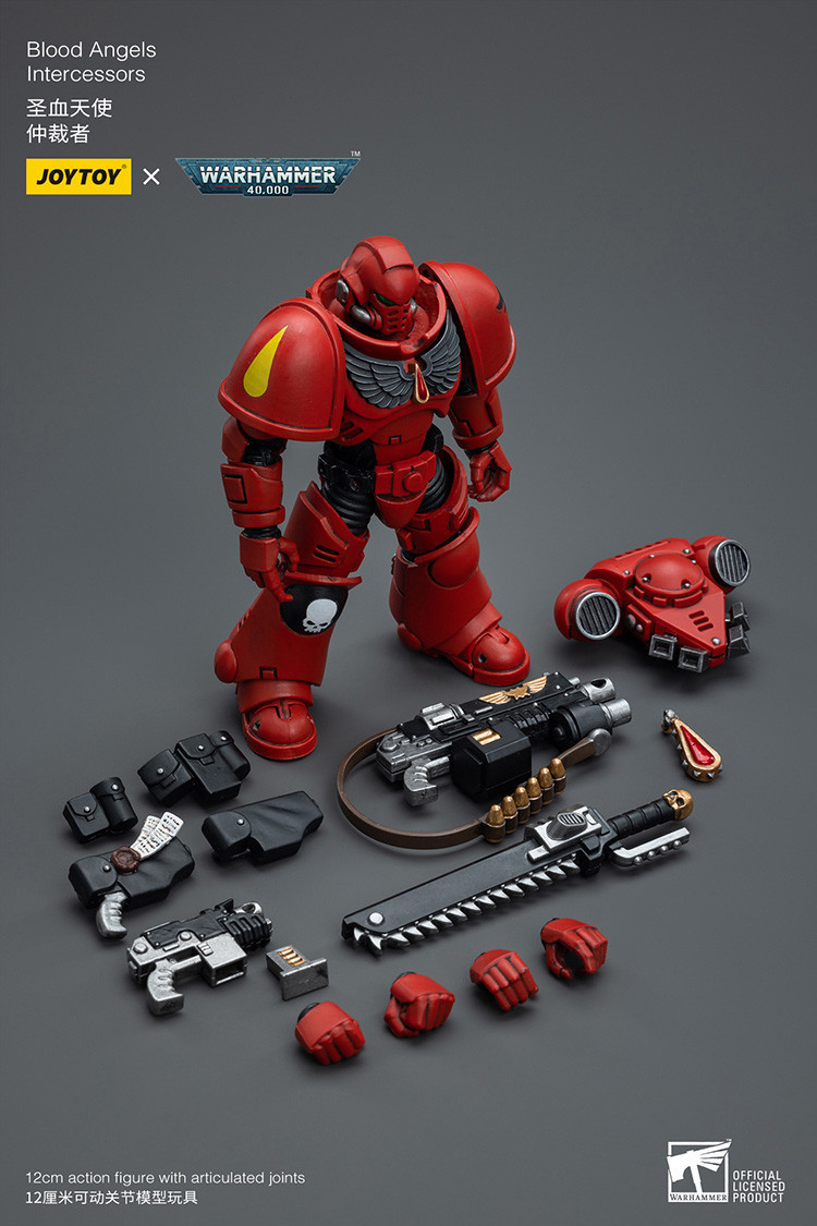 Blood Angels Intercessors - view 16