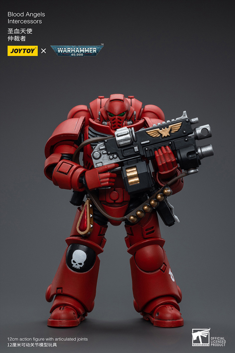 Blood Angels Intercessors - view 8