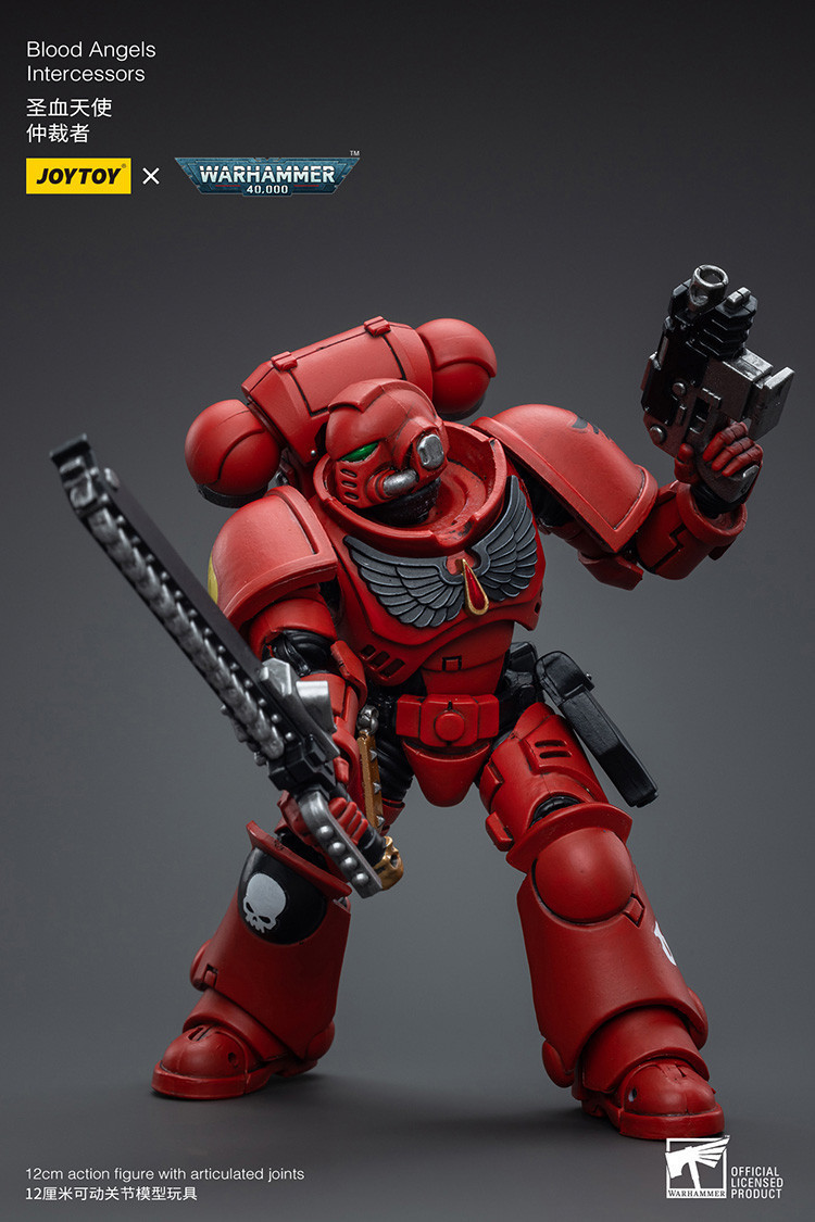 Blood Angels Intercessors - view 15