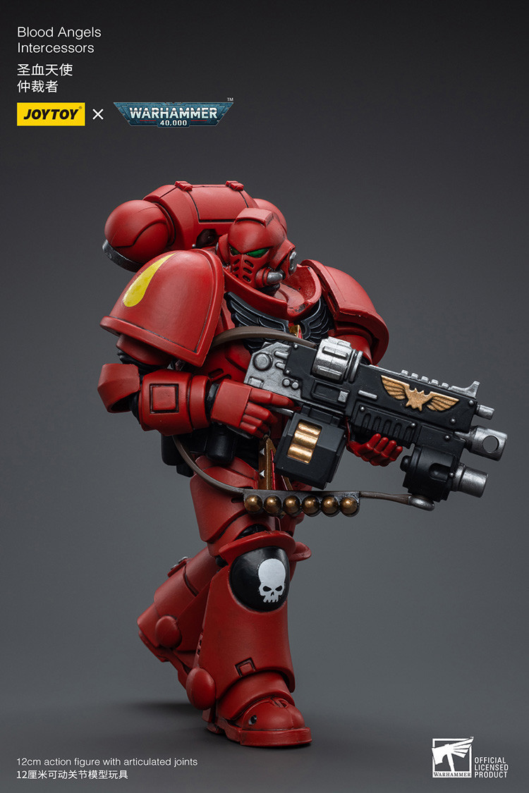 Blood Angels Intercessors - view 12