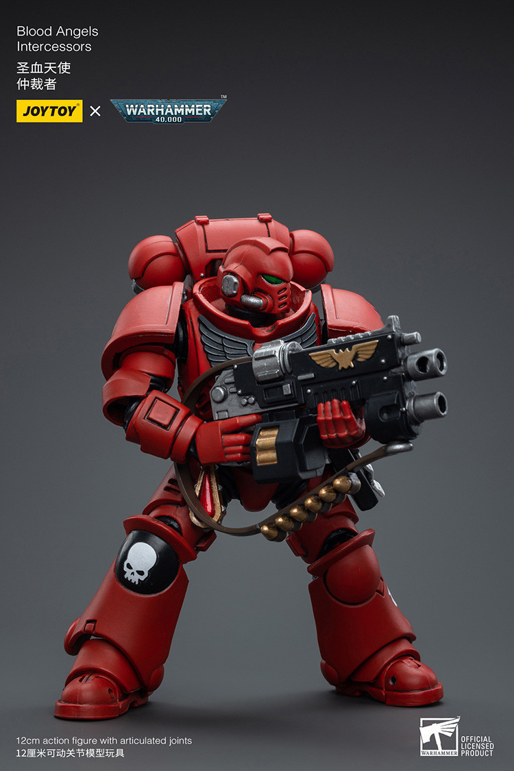 Blood Angels Intercessors - view 11