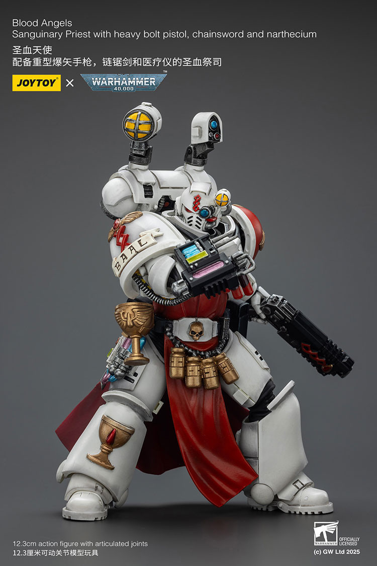 Blood Angels Sanguinary Priest with Heavy bolt pistol, chainsword and narthecium - view 11