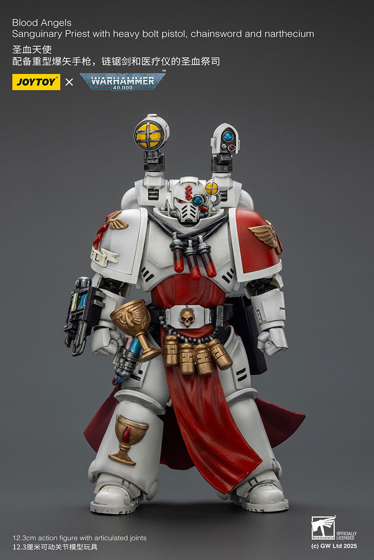 Blood Angels Sanguinary Priest with Heavy bolt pistol, chainsword and narthecium - view 9