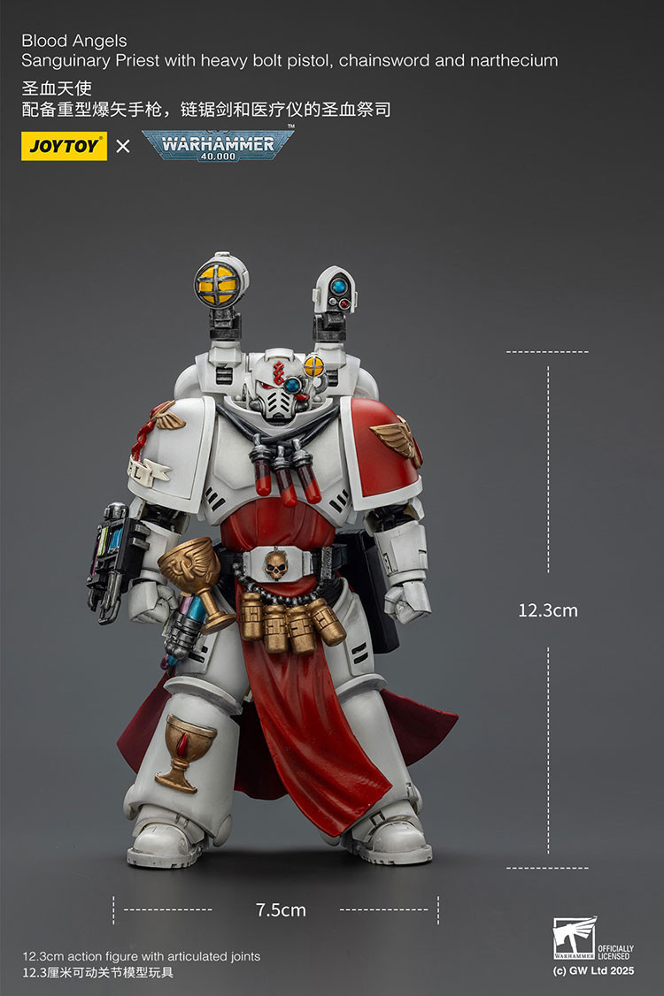 Blood Angels Sanguinary Priest with Heavy bolt pistol, chainsword and narthecium - view 15