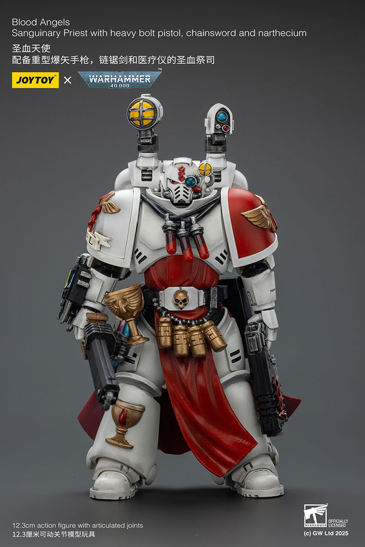 Blood Angels Sanguinary Priest with Heavy bolt pistol, chainsword and narthecium - view 6