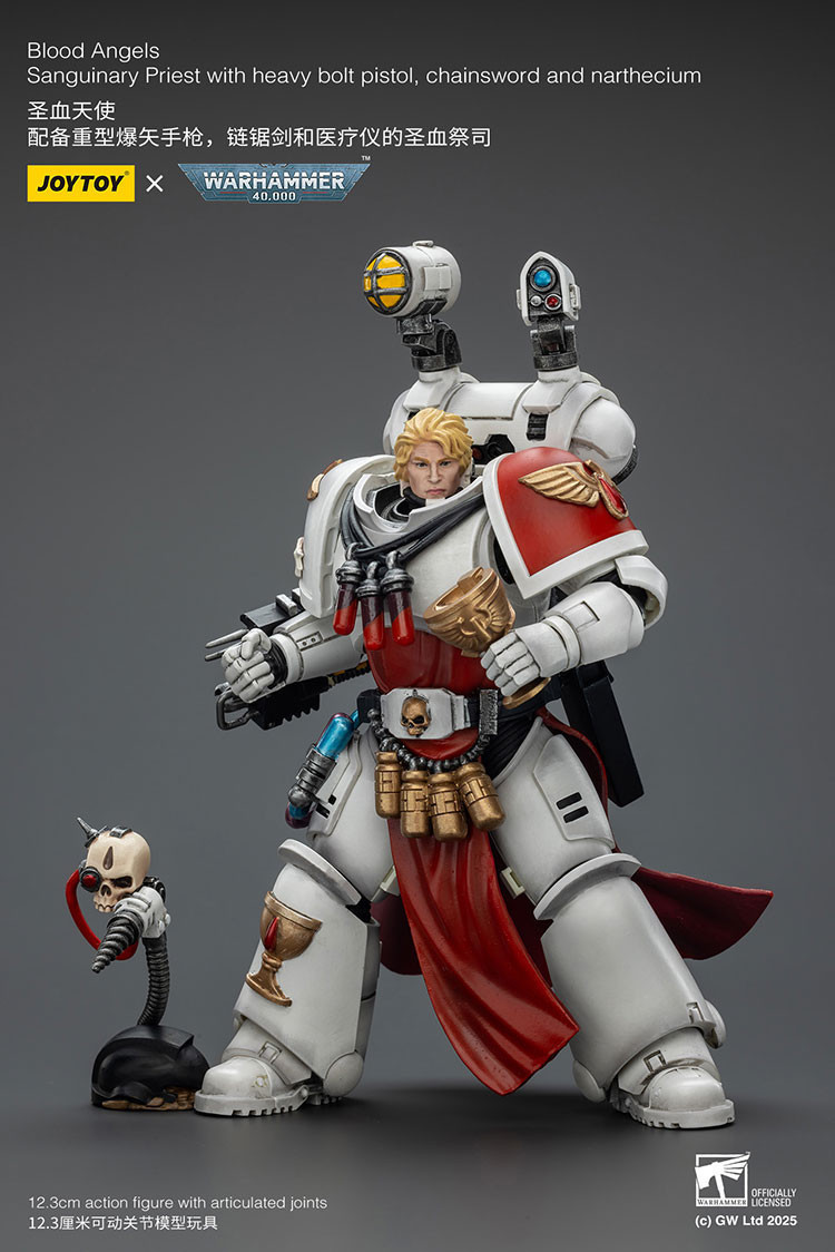 Blood Angels Sanguinary Priest with Heavy bolt pistol, chainsword and narthecium - view 10