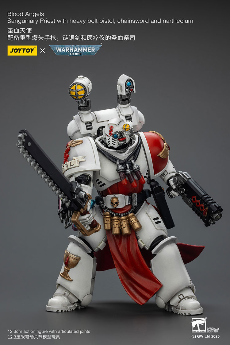 Blood Angels Sanguinary Priest with Heavy bolt pistol, chainsword and narthecium - view 13