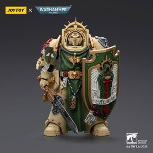 Dark Angels
Deathwing Knight 1
With Power Sword, Storm Shield and teleport homer - Premium action figure - $0.00
