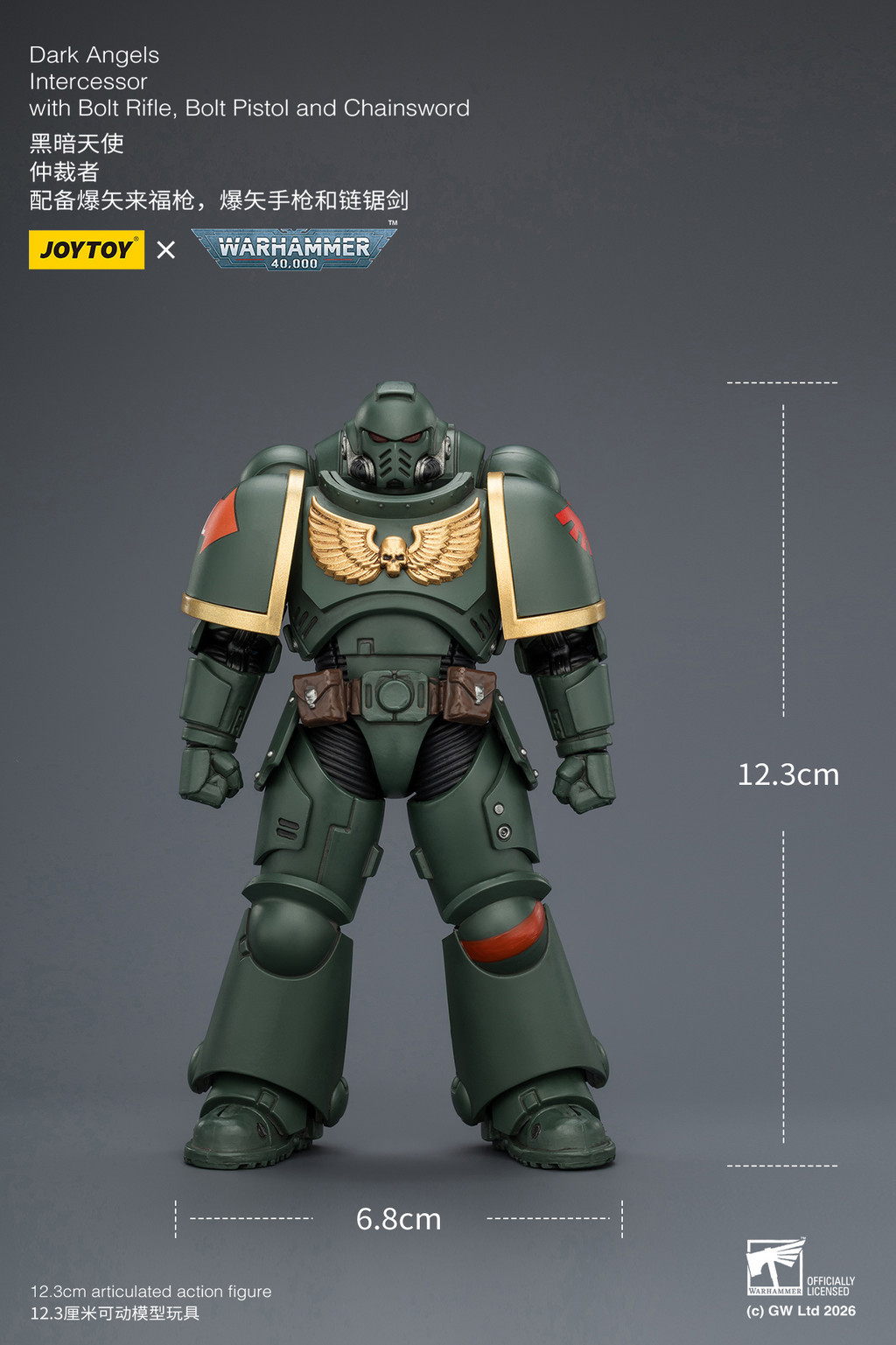 Dark Angels Intercessor with Bolt Rifle, Bolt Pistol and Chainsword - view 19