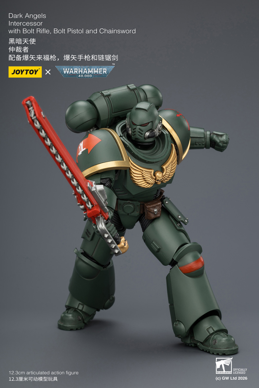 Dark Angels Intercessor with Bolt Rifle, Bolt Pistol and Chainsword - view 18