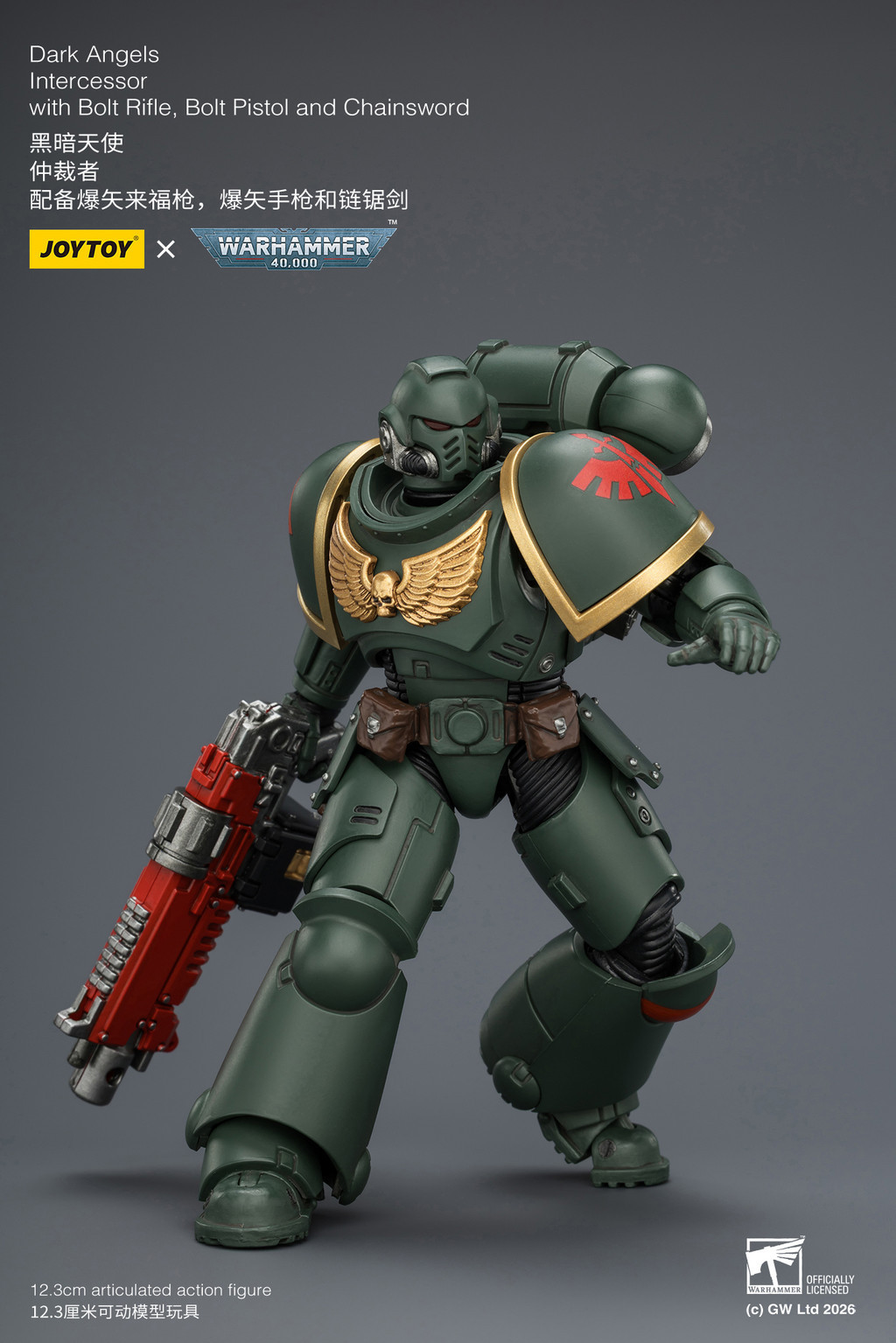 Dark Angels Intercessor with Bolt Rifle, Bolt Pistol and Chainsword - view 15