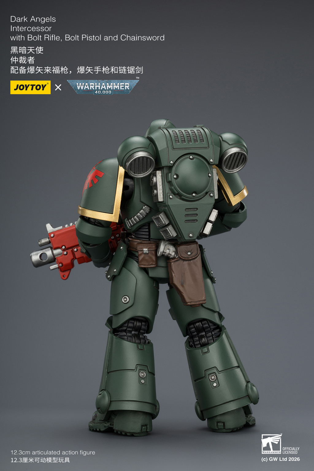 Dark Angels Intercessor with Bolt Rifle, Bolt Pistol and Chainsword - view 16