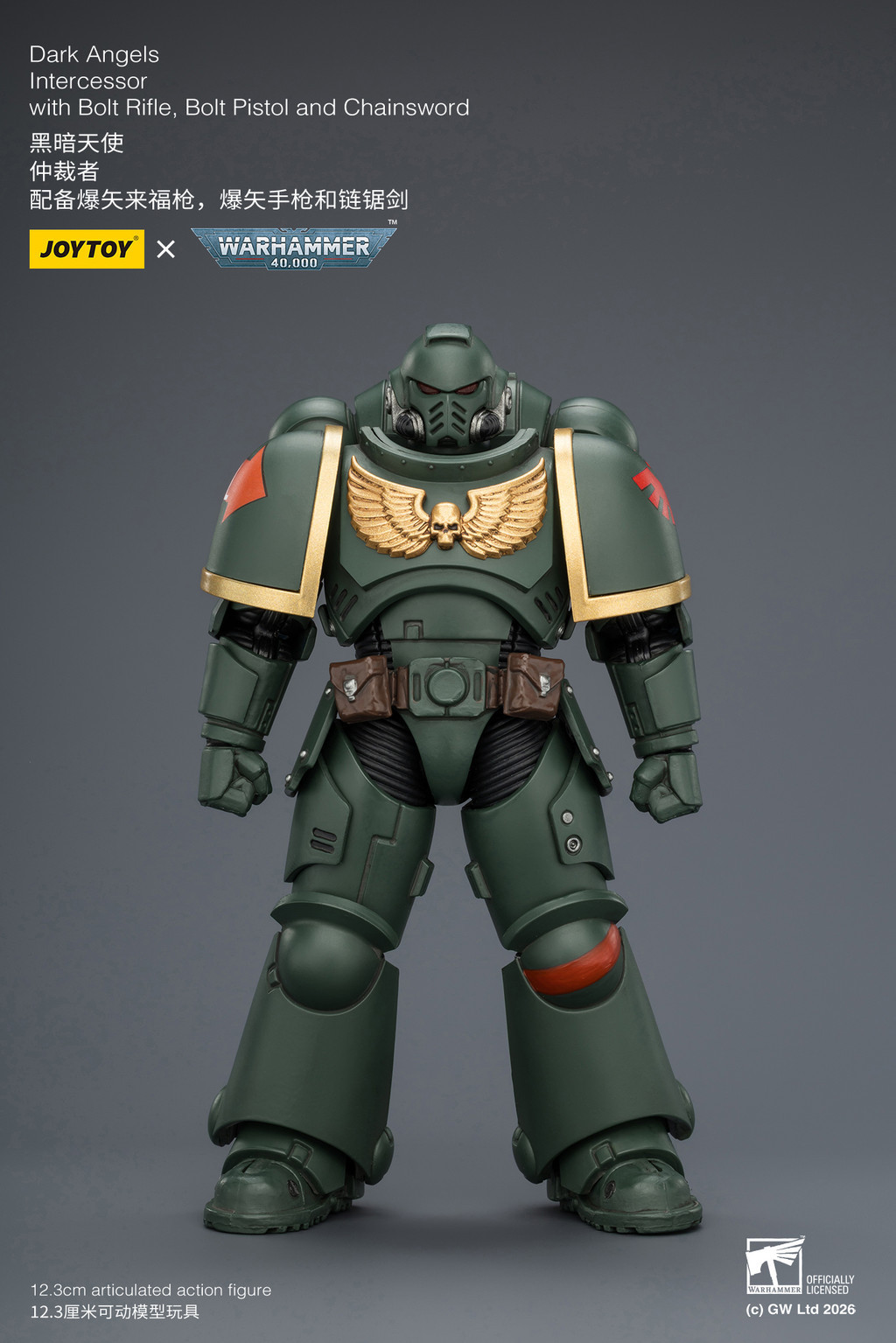 Dark Angels Intercessor with Bolt Rifle, Bolt Pistol and Chainsword - view 10