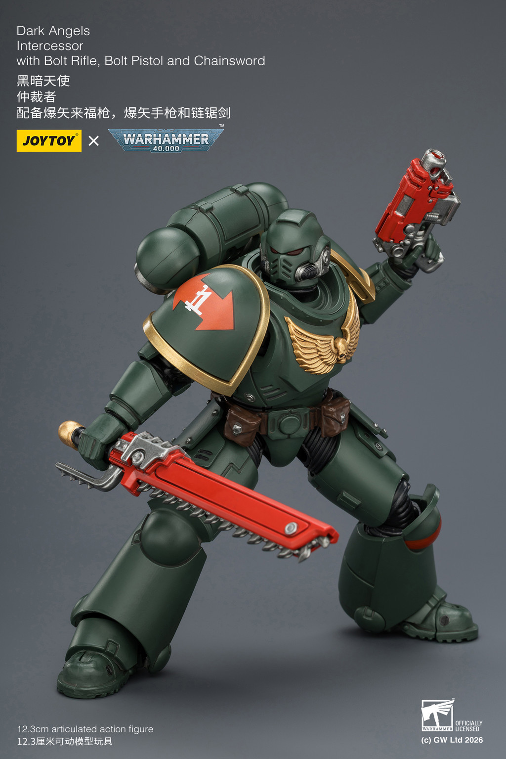 Dark Angels Intercessor with Bolt Rifle, Bolt Pistol and Chainsword - view 9
